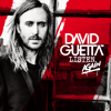 Goodbye Friend (feat. The Script) - David Guetta