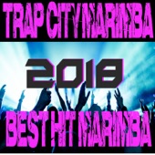 Trap City (Trap Marimba Version) artwork