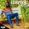 Stream & download Survival - Single