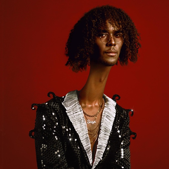 Cover artwork for Brown