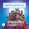 Prijs De Koning (851) [Instrumentaal] artwork