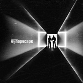 Synapscape - The Chase