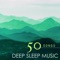 Deep Sleep Music (feat. Shakuhachi Sakano) - Deep Sleep & Shakuhachi Sakano lyrics