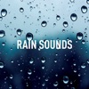 Rain Sounds