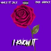 I Know It (feat. Zill X) artwork