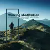 Walking Meditation – For Energizing, Stress-Relief, Mindfulness, Peaceful Sleep album lyrics, reviews, download