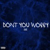 Don't You Worry - Single