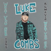 Luke Combs - Beer Never Broke My Heart