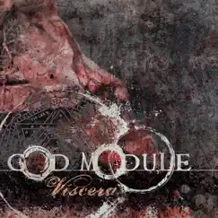 Viscera by God Module album reviews, ratings, credits