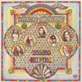 Lynyrd Skynyrd - Call Me The Breeze