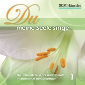 Du meine Seele singe (with Dennis Thielmann) artwork
