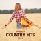 Summer Country Hits artwork
