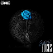 Focus artwork