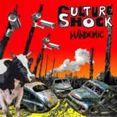 Culture Shock - Consequences