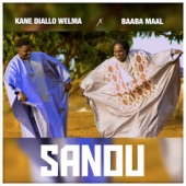 Sanou (feat. Baaba Maal) artwork