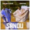Sanou (feat. Baaba Maal) artwork