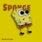 Sponge (feat. No) - Kasie Flaiva lyrics