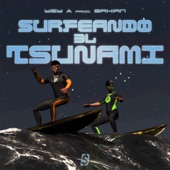 Surfeando el Tsunami artwork