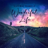 Wonderful Life artwork