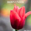 Down Under - Single album lyrics, reviews, download