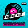 Stream & download Secret Vinyl Album, Vol. 2