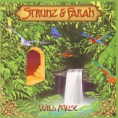 Strunz & Farah - Natural Flow