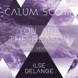 You Are the Reason (Duet Version) - Single - Calum Scott