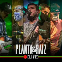 Planta e Raiz (Live) by Planta e Raiz album reviews, ratings, credits