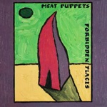 Meat Puppets - Sam