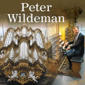 Peter Wildeman artwork