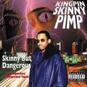 Kickin' It With Skinny Pimp artwork