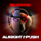 Almighty Push - blooxm