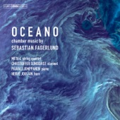 Oceano: II. Agitato artwork