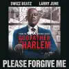 Please Forgive Me (feat. Swizz Beatz & Larry June) - Single album lyrics, reviews, download