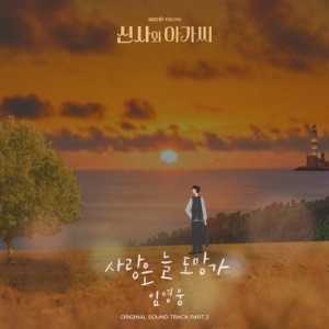 Lim Young Woong (임영웅) - Love Always Run Away (사랑은 늘 도망가) - Line Dance Music
