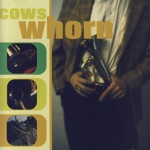 Cows - The New Girl