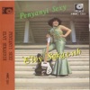 Elvy Sukaesih - Ketemu Lagi