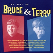 Bruce & Terry - Thank You, Baby