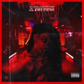 Lil Vamp MixTape - EP artwork