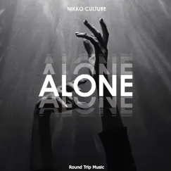 Alone - Single by Nikko Culture album reviews, ratings, credits