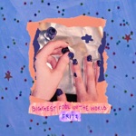 Biggest Fool In The World