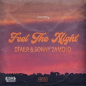 Feel the Night (Extended Mix) artwork