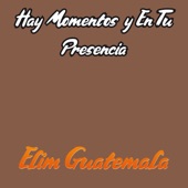 Hay Momentos y en Tu Presencia artwork