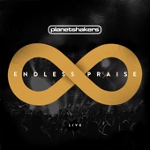 Endless Praise (Live) artwork