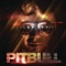 My Kinda Girl (feat. Nelly) - Pitbull lyrics