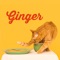 Ginger artwork