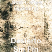 Desierto Sin Fin artwork