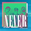 Never - Single