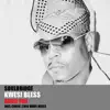 Guide You, Pt. 1 (feat. Kwesi Bless) - Single album lyrics, reviews, download