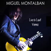 Miguel Montalban - Sultans of Swing